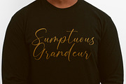Bounty Amethysa Beautiful Script, a Script Font by Letterena Studios Script (Thumbnail 5 of 15)