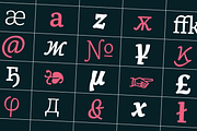 Alkes, a Serif Font by Fontfabric (Thumbnail 11 of 13)