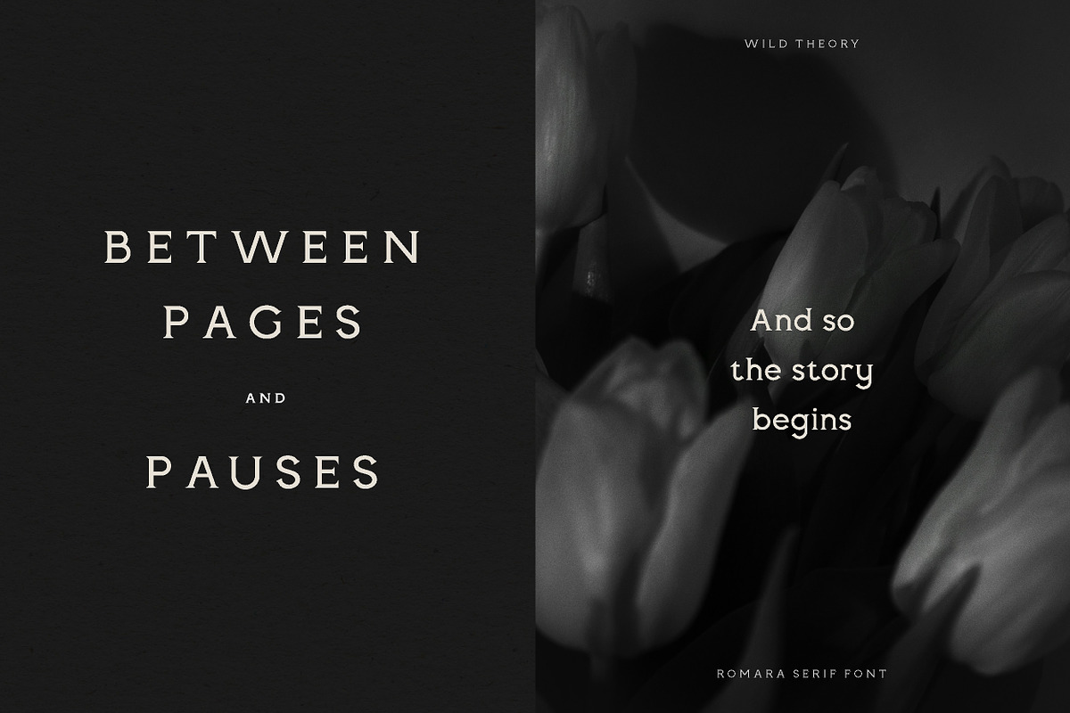 Romara | Elegant & Modern Serif Font, a Font by Wild Theory (Photo 11 of 16)