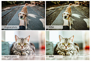 Lovely Pets Lightroom Presets, an Action Add-On by DreamColor (Thumbnail 7 of 10)