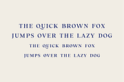 Trusted Serif Logo Font, a Serif Font by LoneArmy (Thumbnail 4 of 11)