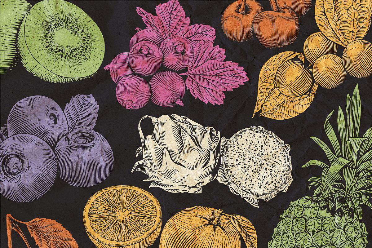 Fruits and Vegetables Illustrations, an Illustration by Heritage Type Co. (Photo 7 of 8)