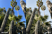 Blush & White Lightroom Presets, an Action Add-On by in between details (Thumbnail 37 of 38)