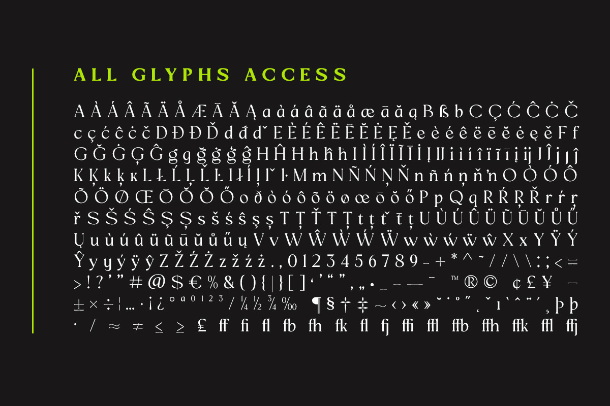 Mizhon | 36 Fonts, a Serif Font by Skinny Type (Photo 8 of 15)