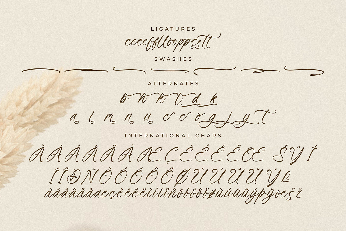 Primrose Essentials Font Duo, a Serif Font by Storytype Studio (Photo 12 of 15)