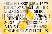 Galvero – Decorative Family Font, a Sans Serif Font by Say Studio (Thumbnail 2 of 9)