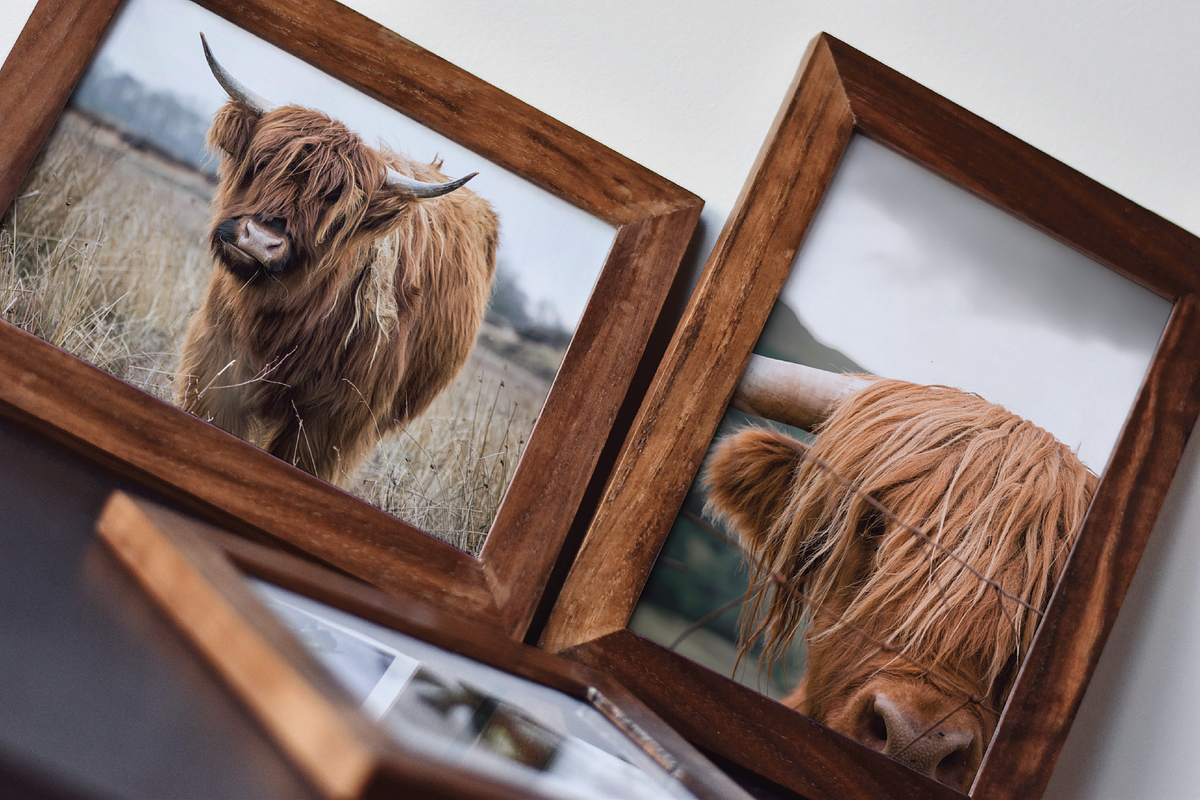 Frame Mockup Bundle - Yucca, a Household Mockup by Saguaro Digital (Photo 7 of 9)