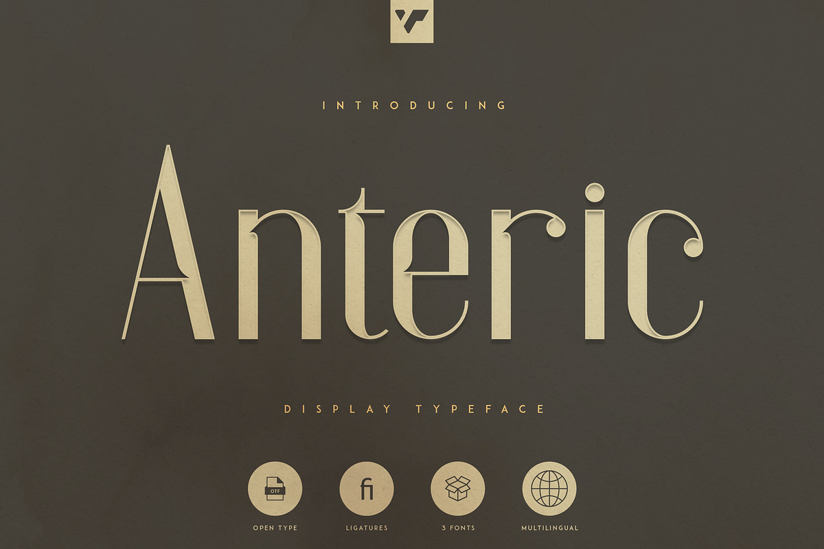 Anteric - Typeface | 3 weights, a Serif Font by VP Fonts (Photo 1 of 10)