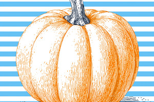 Hand drawn orange pumpkin on a blue, a Food & Drink Photo by MistyDay