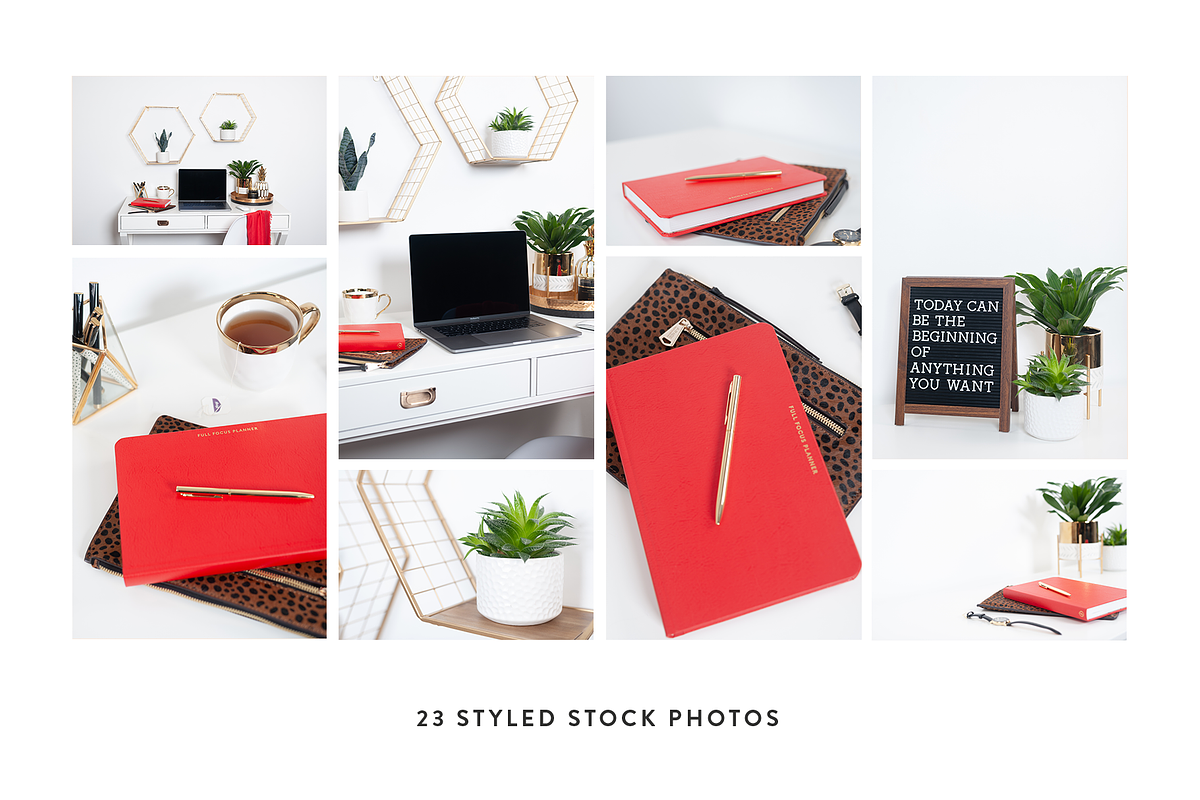 Fierce Boss Lady Styled Stock Bundle, a Photo by Jessica Rea (Photo 2 of 5)