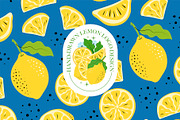 Hand-Drawn Citrus Vector Design Set, a Food Illustration by Lettering_Logo (Thumbnail 4 of 11)