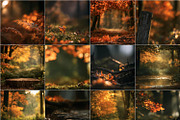 40 Fall Forest Digital Backdrops, a Background Graphic by Walllow Creatives (Thumbnail 2 of 3)