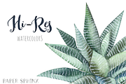 Watercolor Succulents Clipart, an Illustration by PaperSphinx (Thumbnail 3 of 3)