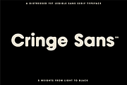 The Diverse Font Bundle, a Sans Serif Font by Bnick (Thumbnail 20 of 34)