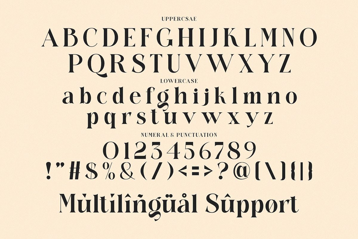 Pallmer Vallerin Elegant Serif Font, a Serif Font by Alfinart (Photo 8 of 9)