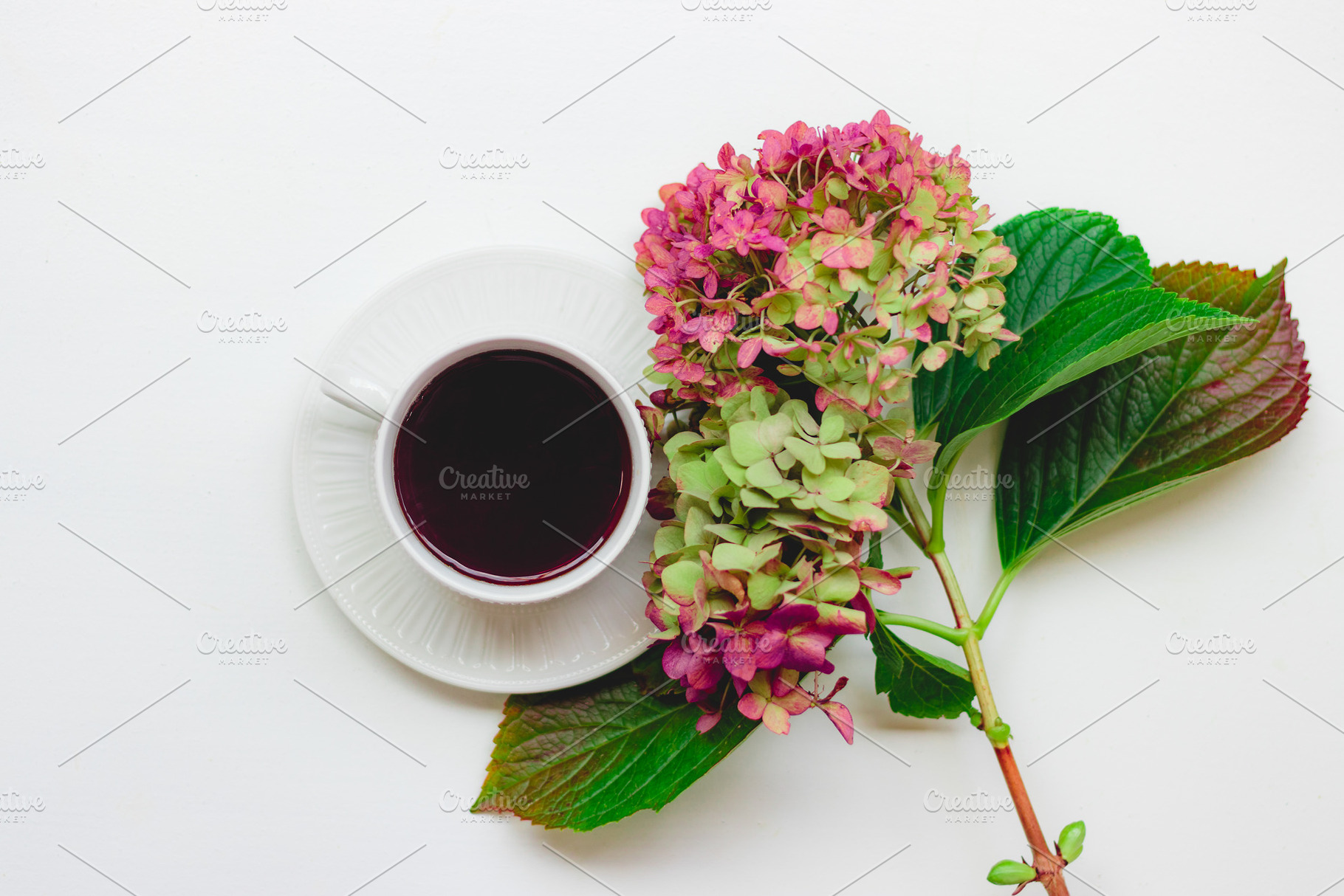 Hydrangea Flowers and Tea Flat Lay, a Food & Drink Photo by René Jordaan Photography