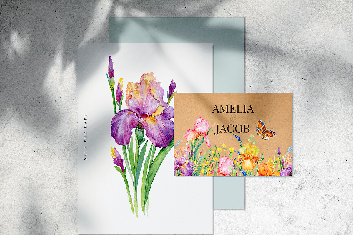 Iris watercolor set, a Decorative Illustration by MitrushovaArt (Photo 10 of 13)