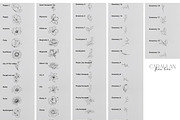 Floral Tattoo Essentials, a Brush Add-On by CaraulanStore (Thumbnail 7 of 8)