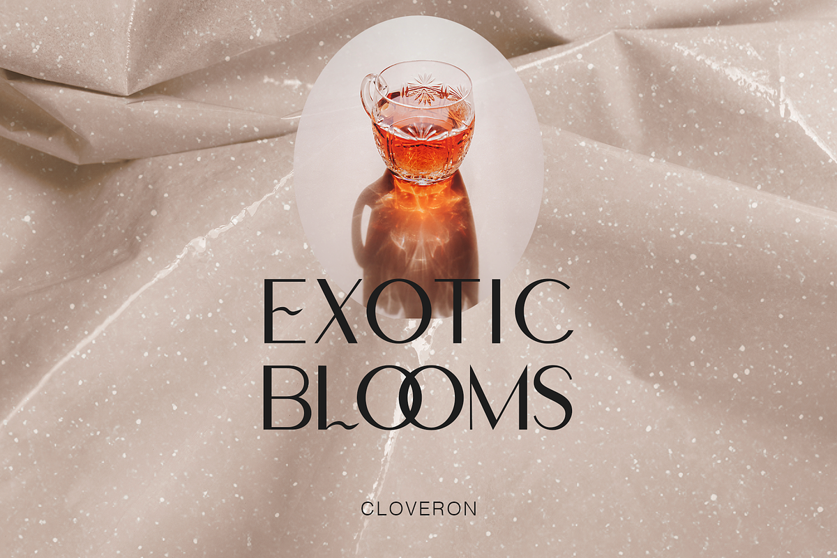 Ivoor - Classy Modern Sans Display, a Sans Serif Font by Cloverons (Photo 2 of 14)