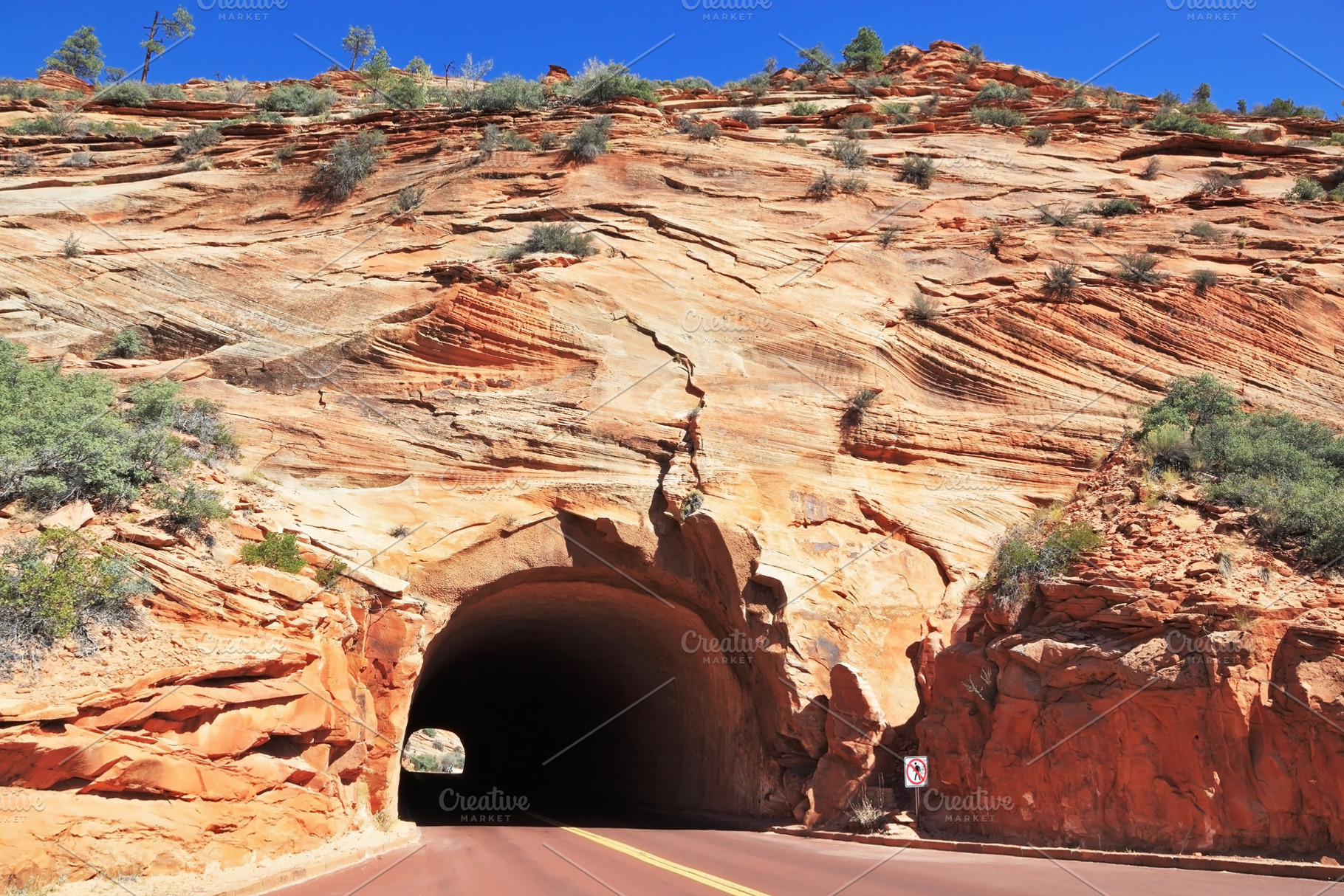 The road passes through a tunnel in, a Nature Photo by kavram