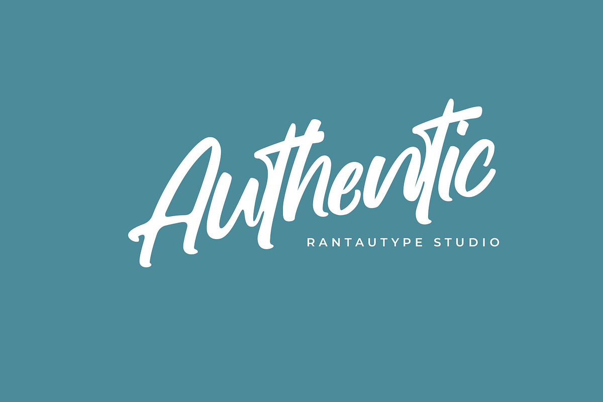 Blue Harmony Modern Script Font, a Script Font by RantautypeStudio (Photo 3 of 13)