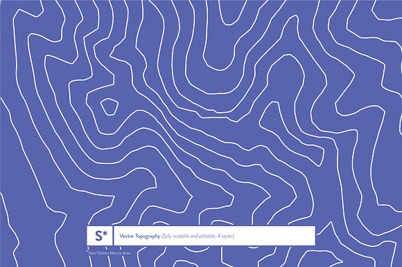 Topographic Map Backgrounds preview 4