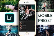 Lightroom Mobile - Silver, an Action Add-On by Design Aesthetic (Thumbnail 1 of 6)