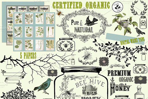 Certified Organic Clipart & Brushes preview 6