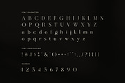 Celion Elegant Ligature Serif Font, a Serif Font by Graphicxell (Thumbnail 7 of 8)