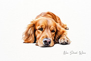 Watercolor Golden Retriever Clipart, an Animal Illustration by New-School-Wave (Thumbnail 3 of 5)