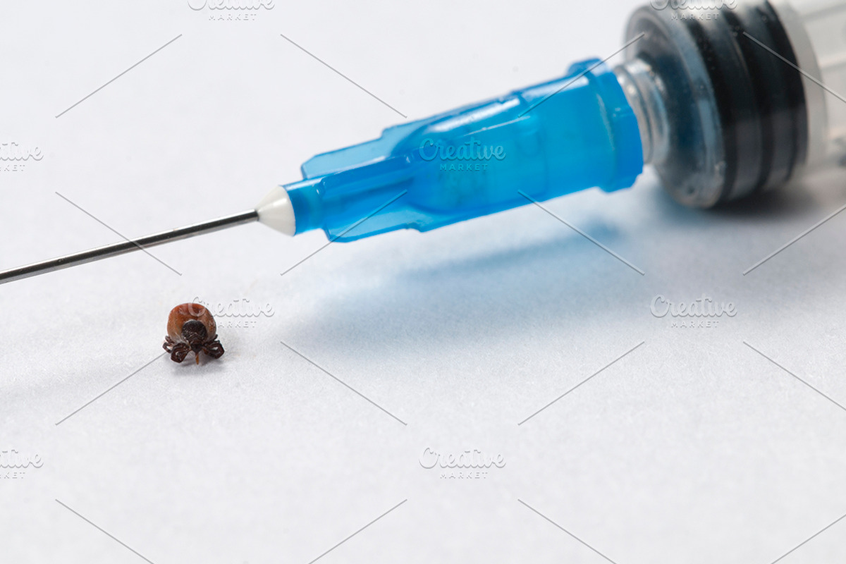 Mite and syringe tool featuring acarian, tick, and acarid, a Health & Medical Photo by Alexander62 (Photo 1 of 2)