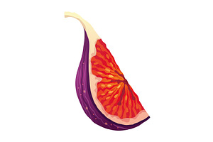 Fig Fruit Cut with Thin Skin and, a Food Illustration by the8monkey