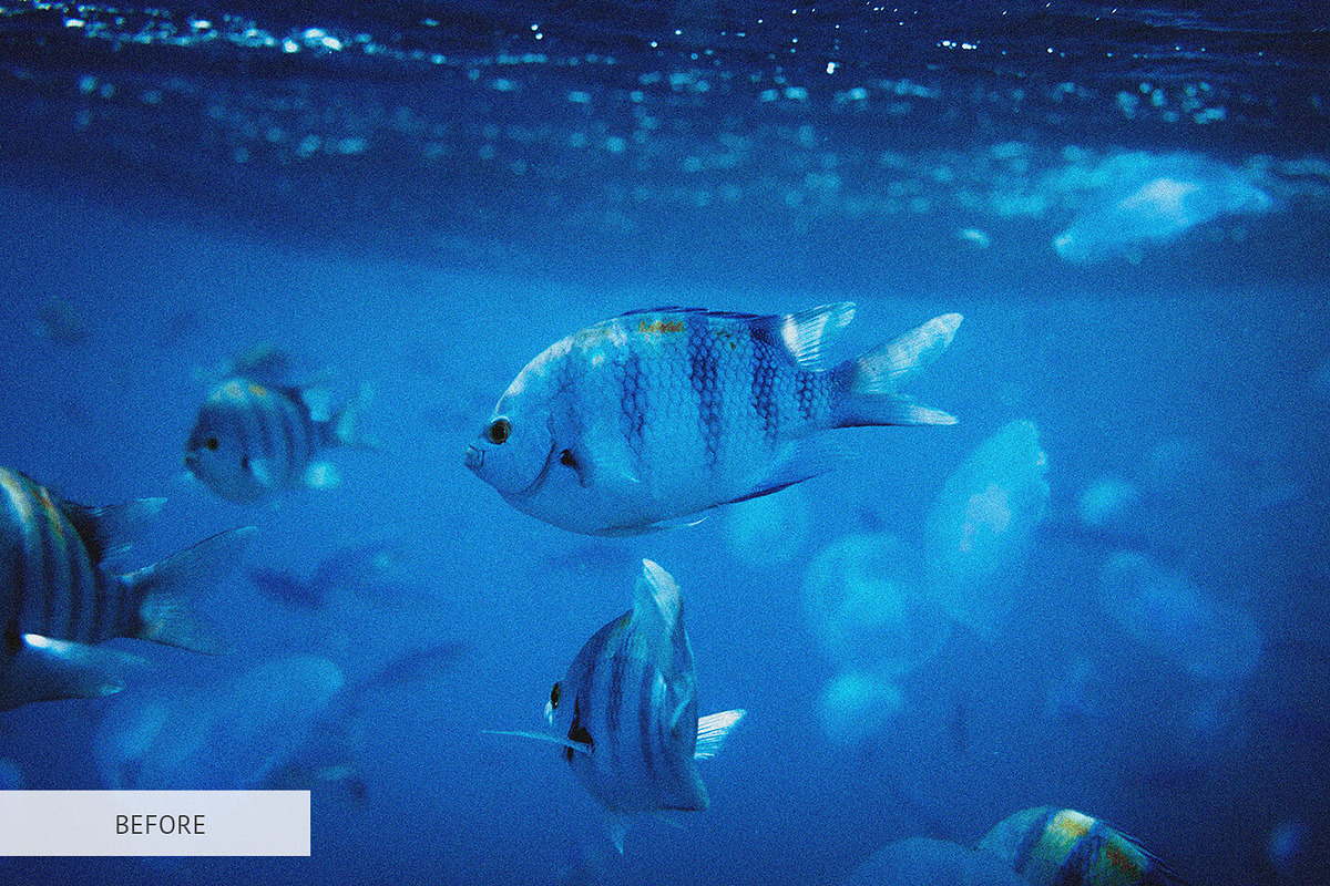 Underwater Photography Presets, a Plug-in Add-On by FixThePhoto (Photo 12 of 32)