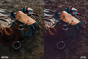 Spring Brown Tone Lightroom Presets, a Preset Add-On by AAA Presets (Thumbnail 16 of 18)