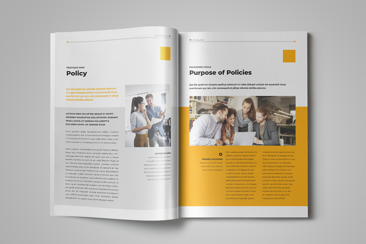 Employee Training Manual Template, a Brochure Template by StockInDesign (Photo 5 of 10)