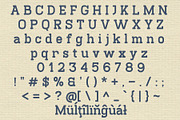 Normanet - Font Family, a Slab Serif Font by NDNL Studio (Thumbnail 13 of 14)