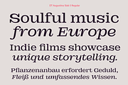DT Augustina Slab 5 Subfamily, a Slab Serif Font by Deveze Type Foundry (Thumbnail 7 of 31)