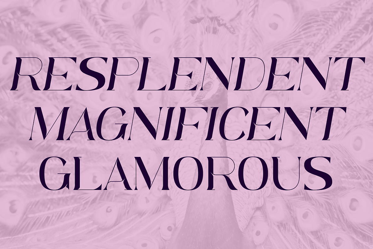 Pavoris, a Serif Font by IWMType (Photo 3 of 7)