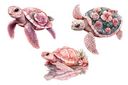 Pink Sea Turtle Clipart PNG, an Illustration by Dream Creation (Thumbnail 5 of 5)