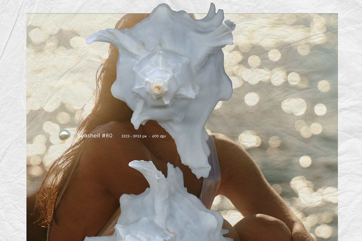 Sea Relics: Objects & Backgrounds, an Object Graphic by Purple (Photo 7 of 14)