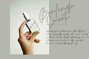 Berlinda Werni - Monoline Font, a Script Font by Bayuktx (Thumbnail 4 of 10)