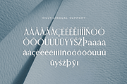 Sovence – A Luxury Serif Font, a Serif Font by overlaytemplates (Thumbnail 5 of 5)