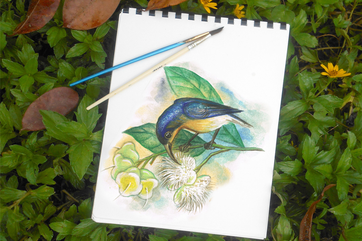 watercolor birds, an Illustration by Graphobia (Photo 2 of 5)
