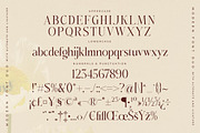 Adoretta Holland Font Duo, a Serif Font by Storytype Studio (Thumbnail 11 of 15)