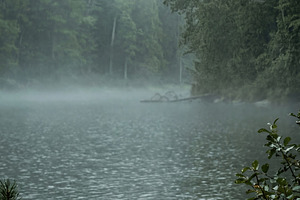 Serene Misty Forest Lake Landscape, a Nature Photo by Virgo Studio