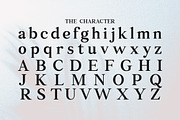 Rellita Display, a Serif Font by Gatype (Thumbnail 9 of 11)