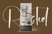 Michelyne Stylish Signature Font, a Script Font by stylishtype.co (Thumbnail 8 of 20)