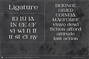 DIGITANY, a Serif Font by Bagerich Type Foundry (Thumbnail 3 of 9)