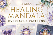 Botanical Lace & Magical Textures, a Texture Graphic by ETARA by Mea Hau (Thumbnail 8 of 34)