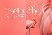 Rollgates Modern Sans, a Sans Serif Font by Cotbada_studio (Thumbnail 3 of 10)
